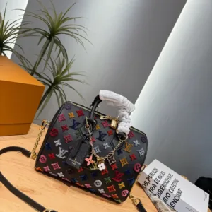 Louis Vuitton Speedy handbag in multiple colors