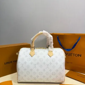 Louis Vuitton Speedy 30 handbag in multiple colors