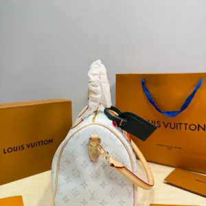 Louis Vuitton Speedy 30 handbag in multiple colors