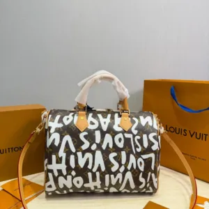 Louis Vuitton Speedy Pillow Bag in Multiple Colors