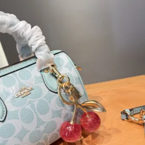 Coach Rowan mini Boston Bags