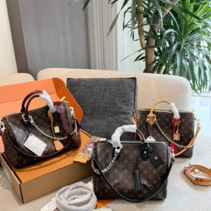 LV Speedy Soft 30 Tote hand bags