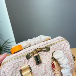 Louis Vuitton embossed embroidered pillow handbags