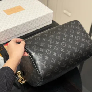 Lv Speedy 30 pillow tote handbags