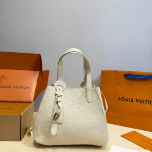 Louis Vuitton All in one handbag